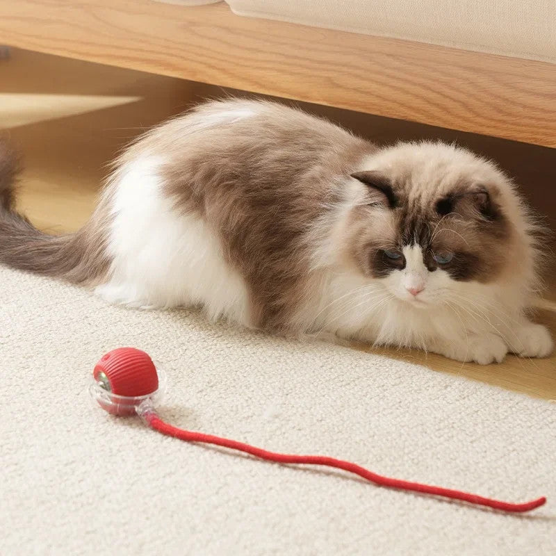 Smart Interactive Cat Toy Ball – Automatic Rolling & Tail Teaser