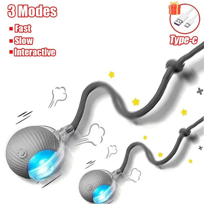 Smart Interactive Cat Toy Ball – Automatic Rolling & Tail Teaser