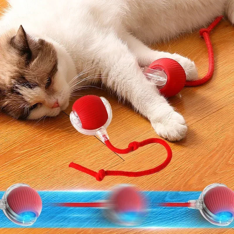Smart Interactive Cat Toy Ball – Automatic Rolling & Tail Teaser