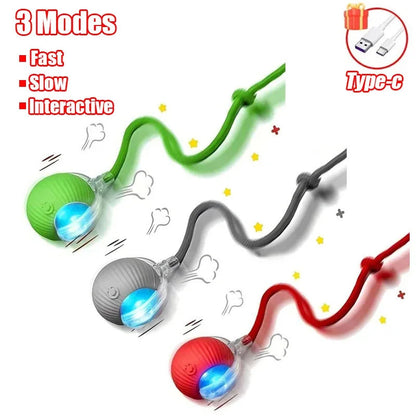 Smart Interactive Cat Toy Ball – Automatic Rolling & Tail Teaser