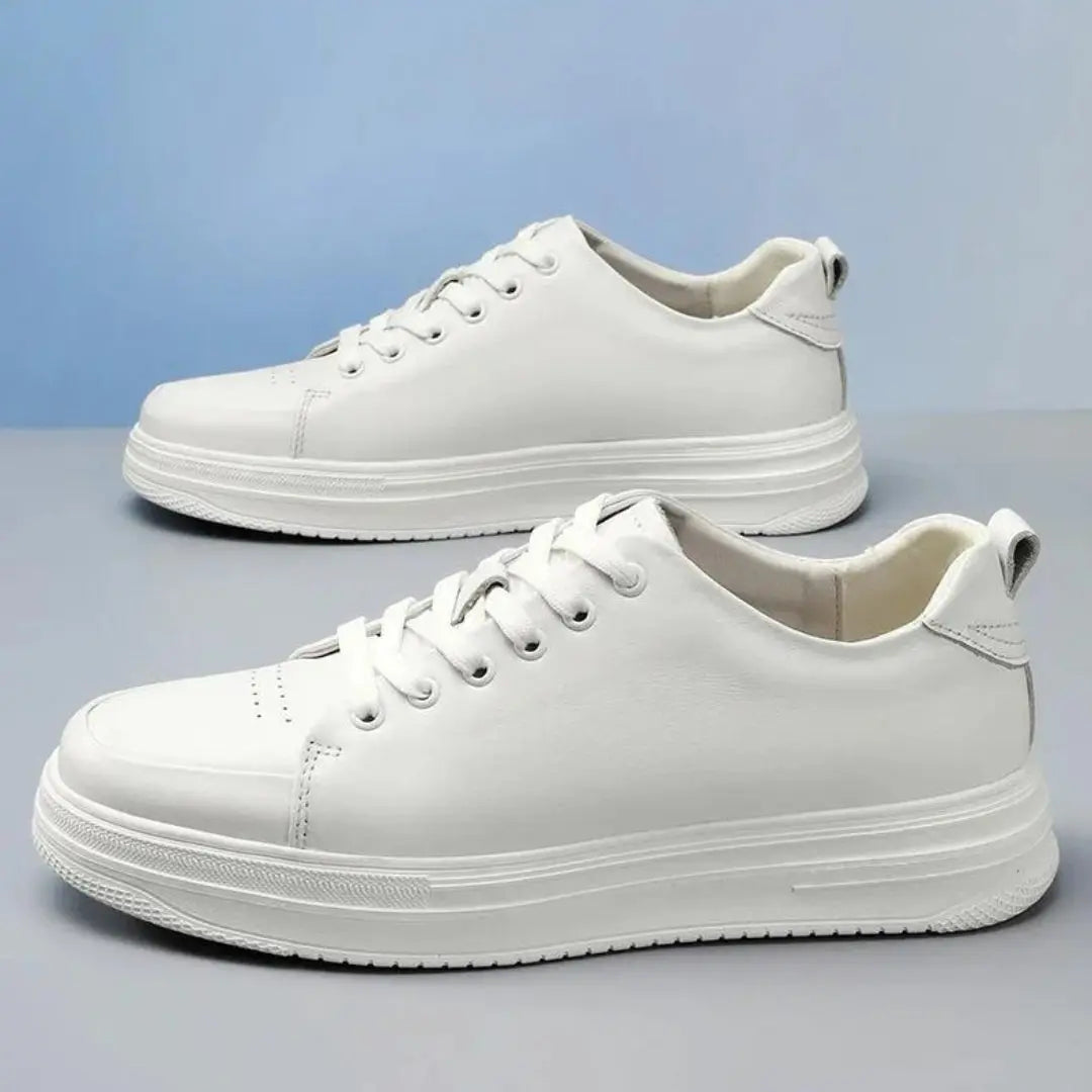 Prestige Shoes Basic