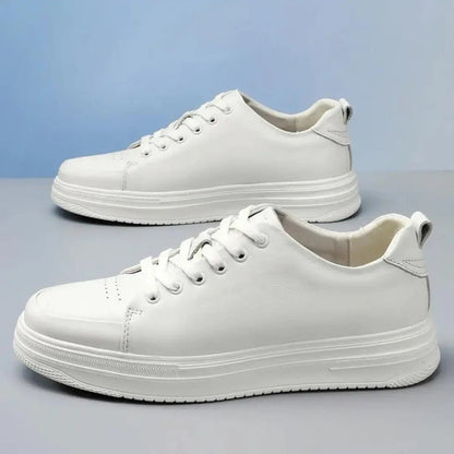 Prestige Shoes Basic