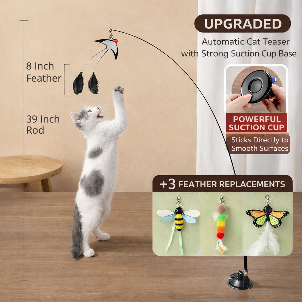 Interactive Cat Toys Natural Bird Feather