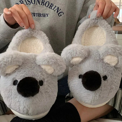 Koala Slippers