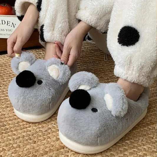 Koala Slippers