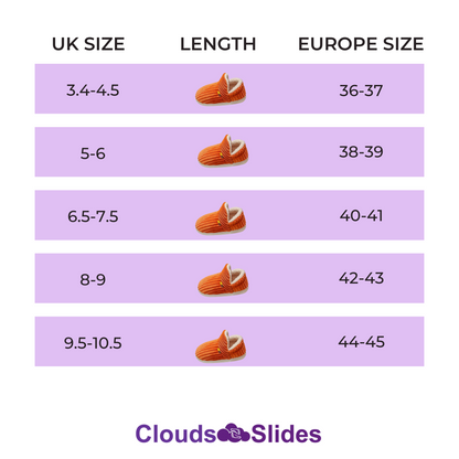 Cloud Cotton Shoes