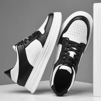 Prestige Shoes Lifty